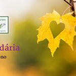 guia-da-alma-2a-cura-solidaria-quiropraxia-reiki