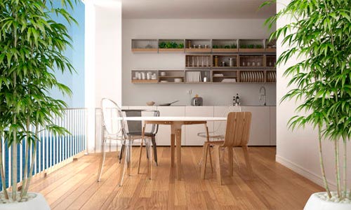 imagem de feng shui: como aplicar para reequilíbrios e ativações energéticas