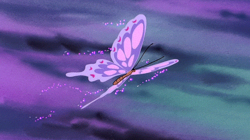 guia-da-alma-dezembro-numerologia-borboleta-