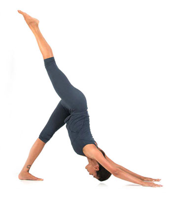 guia-da-alma-centro-energia-vital-Svadhisthana-chakra-Eka-pada-adho-mukha-svanasana