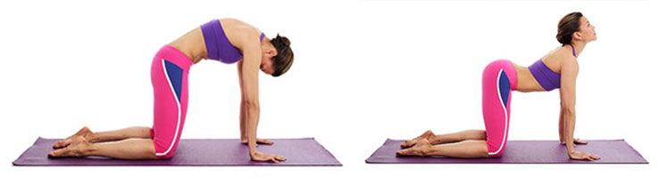 guia-da-alma-centro-energia-vital-Svadhisthana-chakra-Marjariyasana