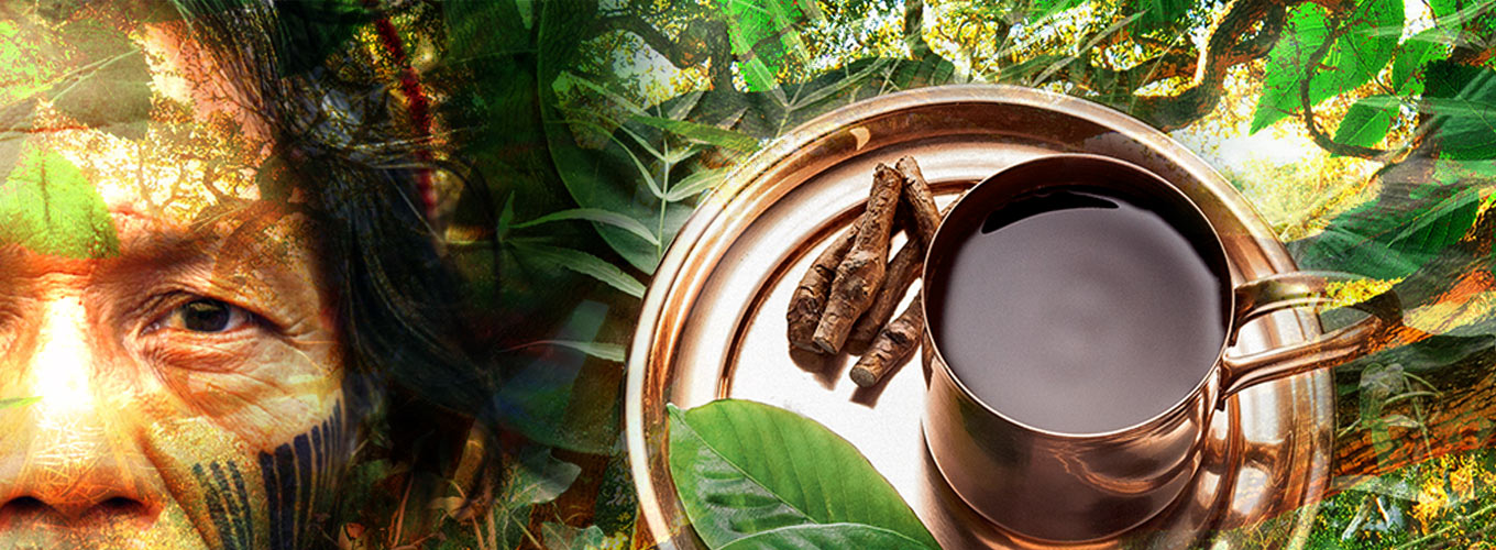 guia-da-alma-plantas-xamanicas-ayahuasca-guilherme-barcelos