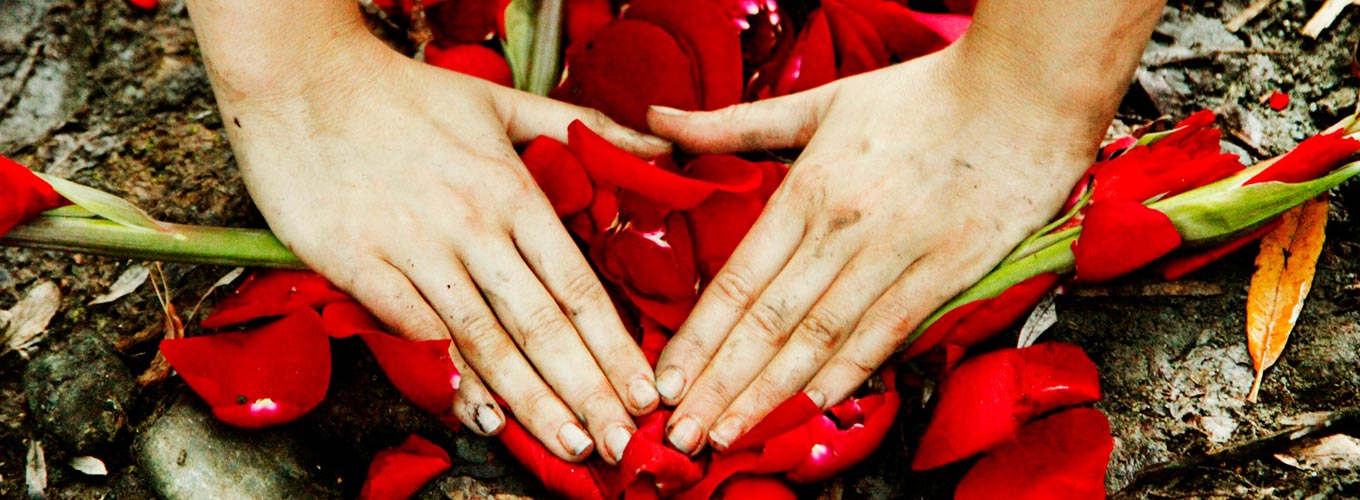 guia-da-alma-plantar-a-lua-gif-altar-ambiente-