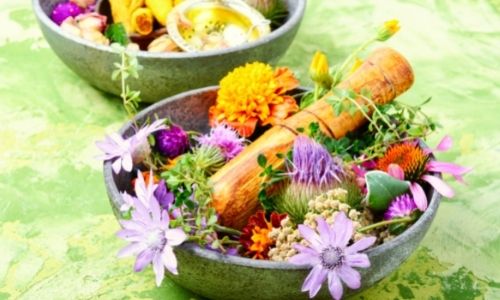 consulta-terapeuta-fitoenergetico Consulta com Terapeuta Fitoenergético