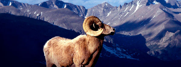 guia-da-alma-numerologia-outubro-carneiro-montanhes-aries-lideranca-renovacao-ram