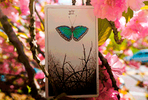 guia-da-alma-como-funciona-sessão-tarot-terapêutico-tarô-autoconhecimento-metamorfose