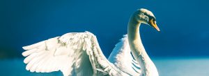 Guia da Alma - Numerologia