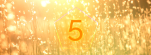 numerologia de maio - mês 5