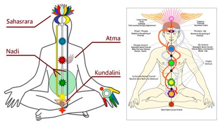 Esquema: kundalini Chakras Brahmacharya