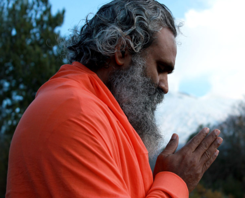 guia-da-alma-ayurveda-guru-sadu-mestre