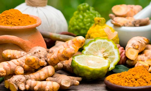 temperos da ayurveda