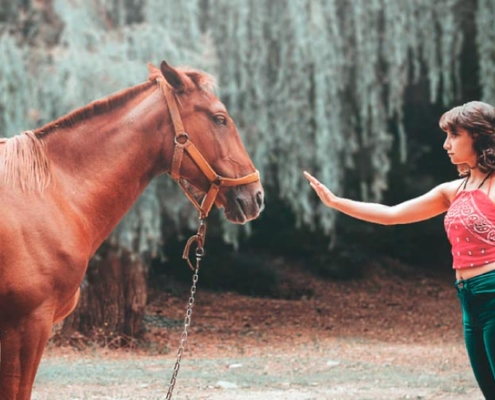 menina em constelação com cavalos