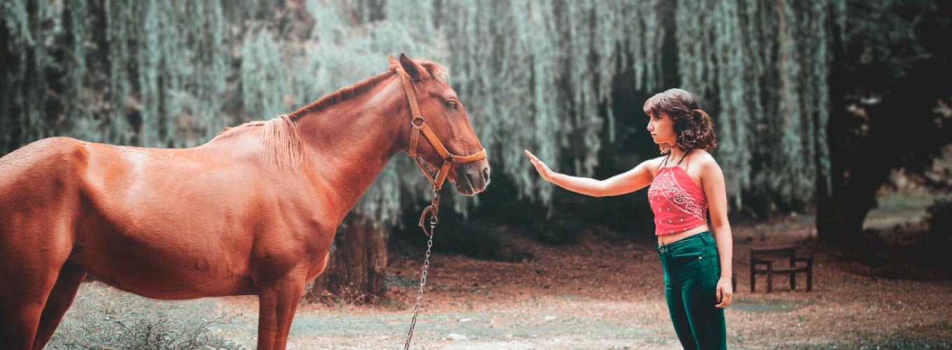 menina em constelação com cavalos
