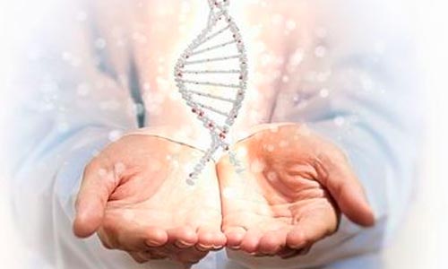 terapeuta thetahealer com energia nas mãos