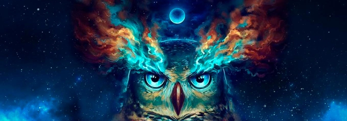 coruja xamanismo: os olhos da alma