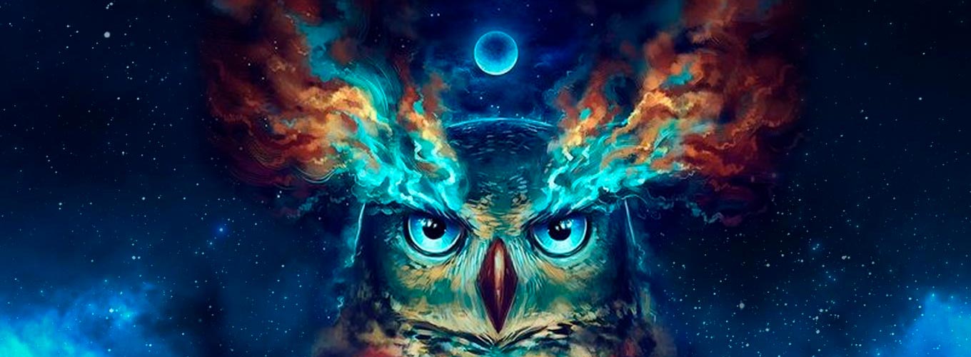 coruja xamanismo: os olhos da alma