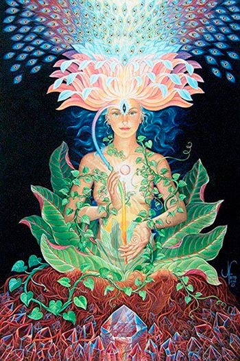 conexão com o universo e a terra