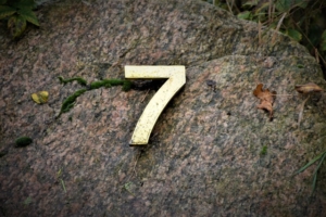 Número 7