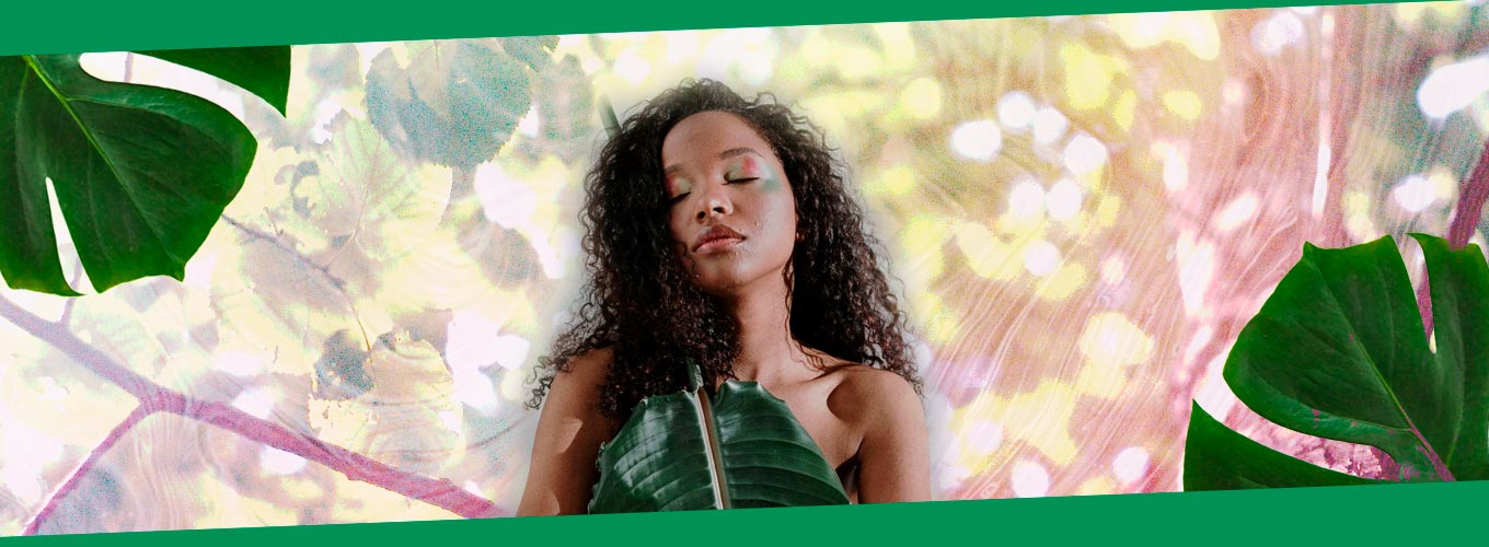 meditacao para conexao com a natureza