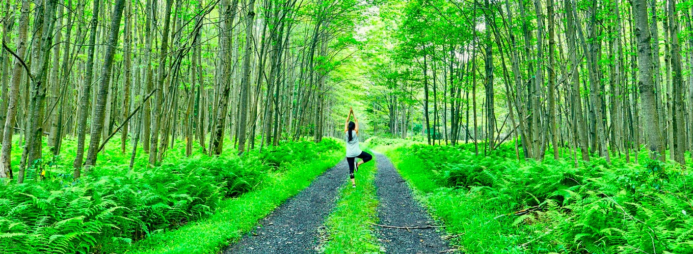 caminhos e modalidades de Yoga: mulher praticando em floresta