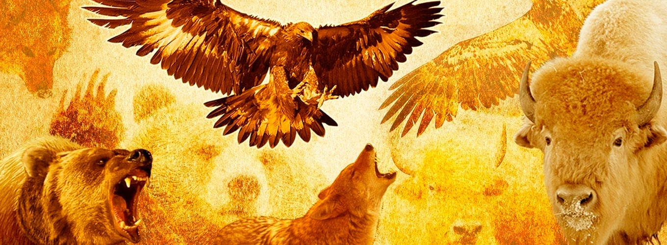 animais de poder